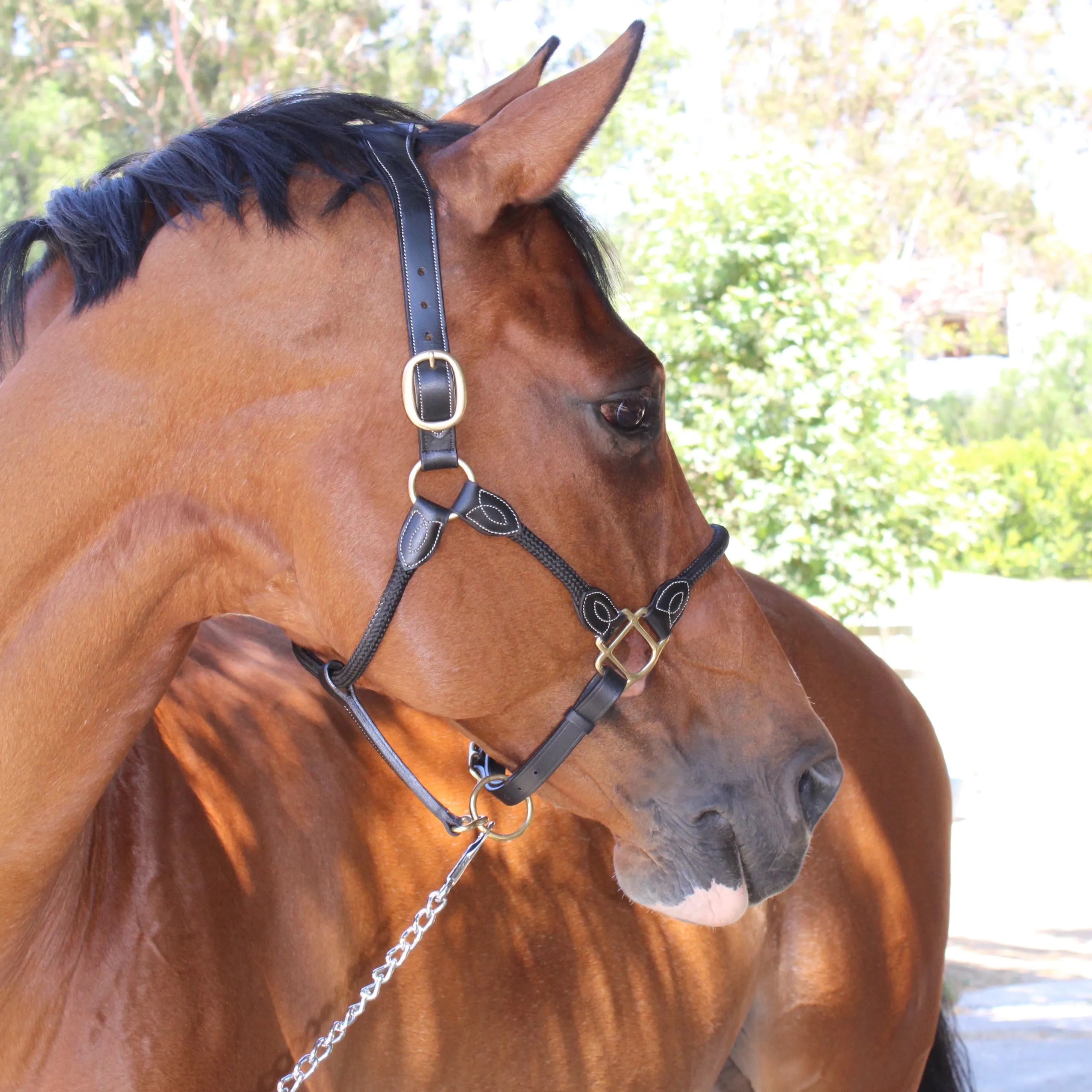 Berlin - Leather and Rope Combination Halter