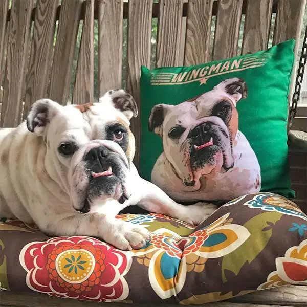 Custom Pet Art Pillow