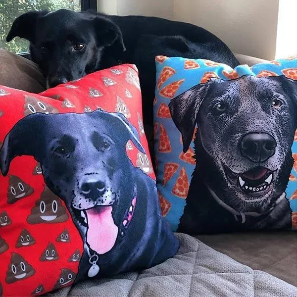 Custom Pet Art Pillow