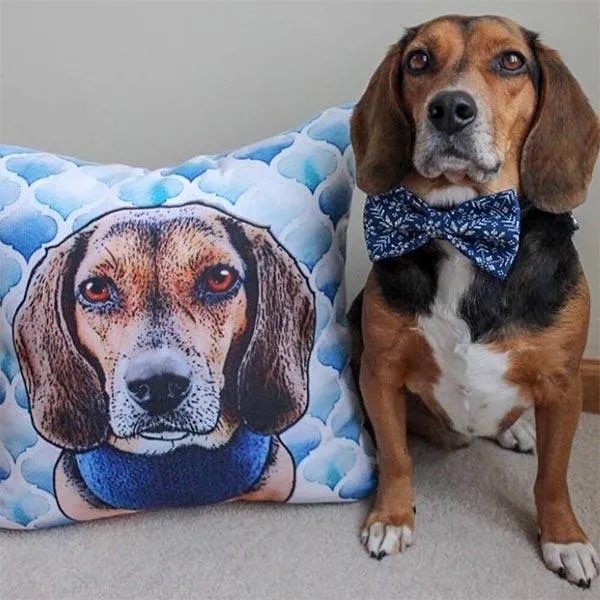 Custom Pet Art Pillow