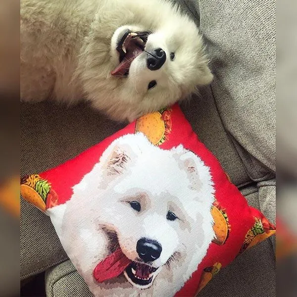 Custom Pet Art Pillow