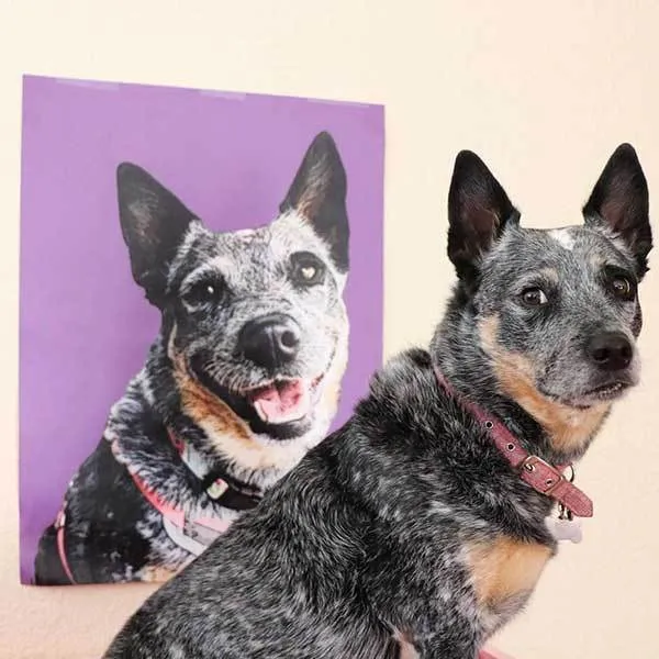 Custom Pet Art Rolled Canvas