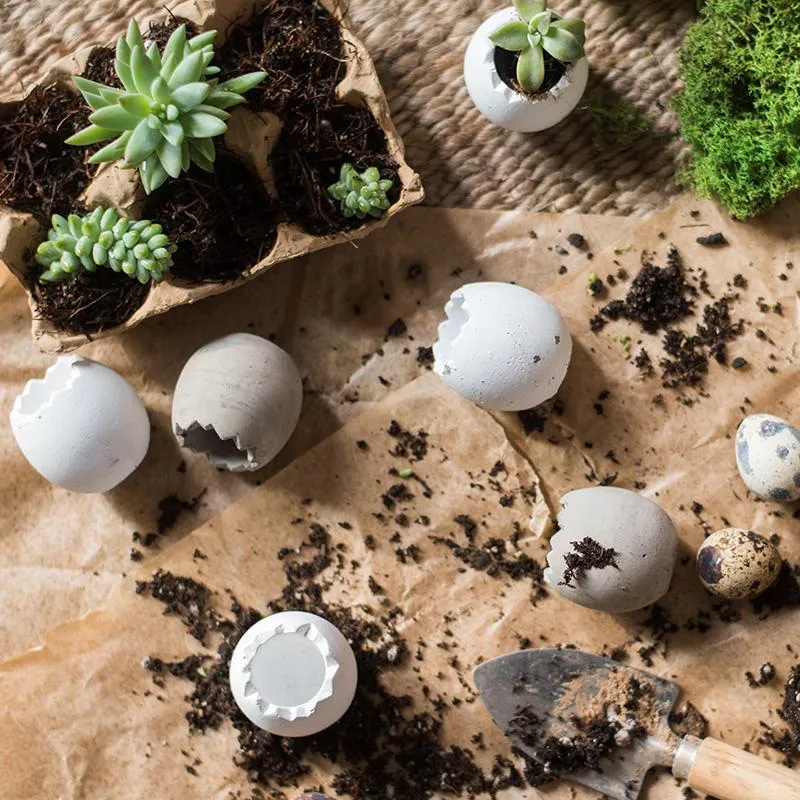 Eggshell-Shaped Planters in Egg Crate