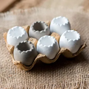 Eggshell-Shaped Planters in Egg Crate