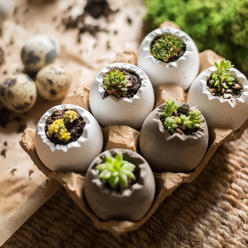 Eggshell-Shaped Planters in Egg Crate