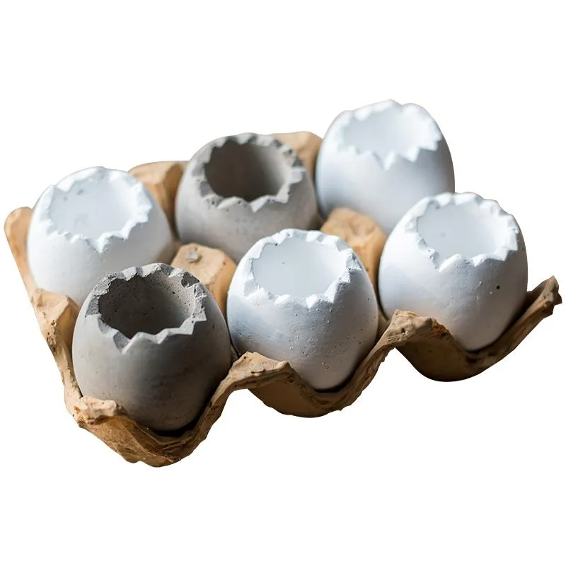 Eggshell-Shaped Planters in Egg Crate