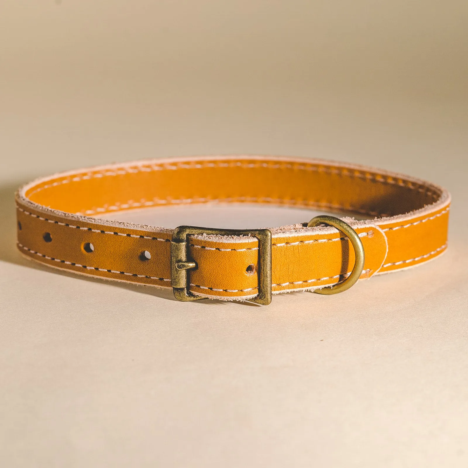 Leather Dog Collars