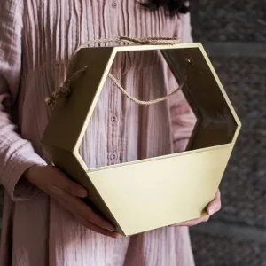 Modern Gold Hexagon Hanging Planter