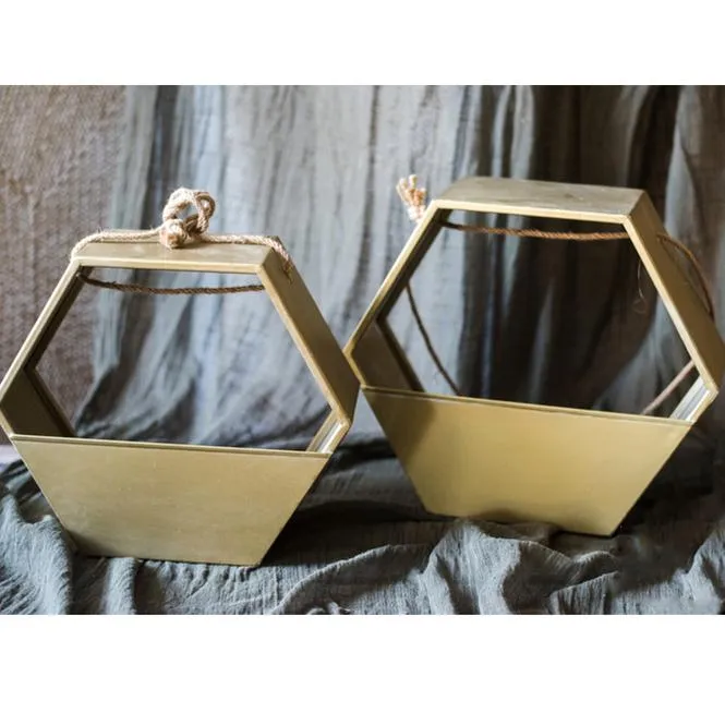 Modern Gold Hexagon Hanging Planter