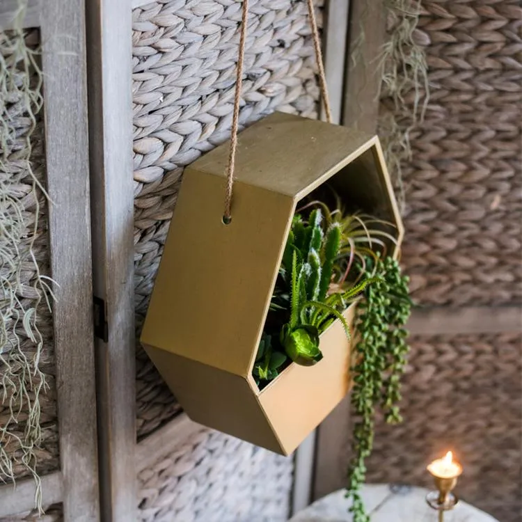 Modern Gold Hexagon Hanging Planter