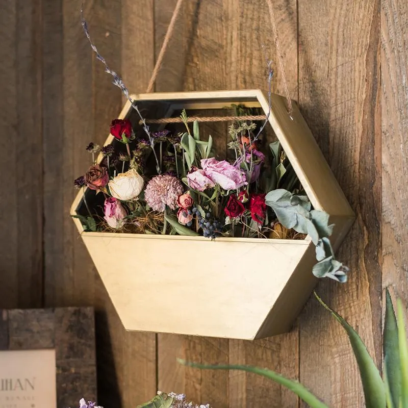 Modern Gold Hexagon Hanging Planter