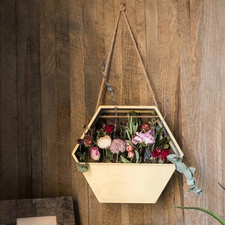 Modern Gold Hexagon Hanging Planter