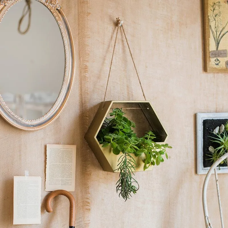 Modern Gold Hexagon Hanging Planter