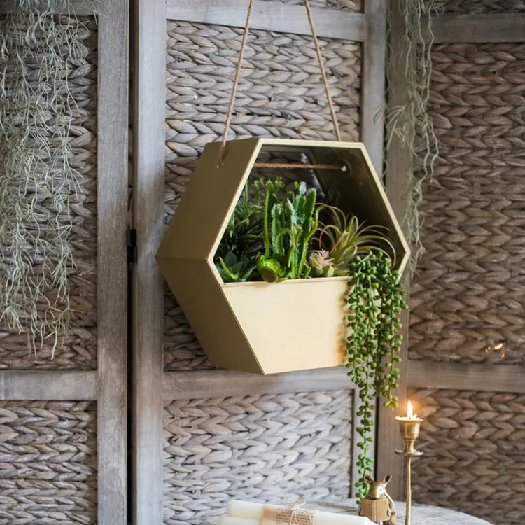 Modern Gold Hexagon Hanging Planter