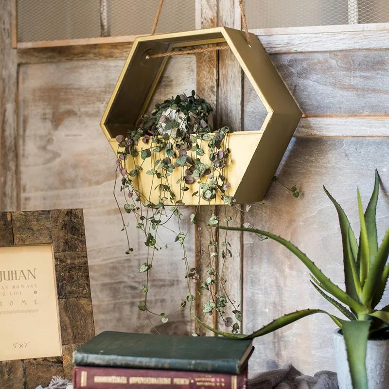 Modern Gold Hexagon Hanging Planter