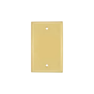 New York Switch Plate with Blank Cover in Polished Brass