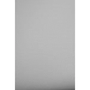 Savage Vinyl Photo Gray 3.04m x 6.09m Backdrop