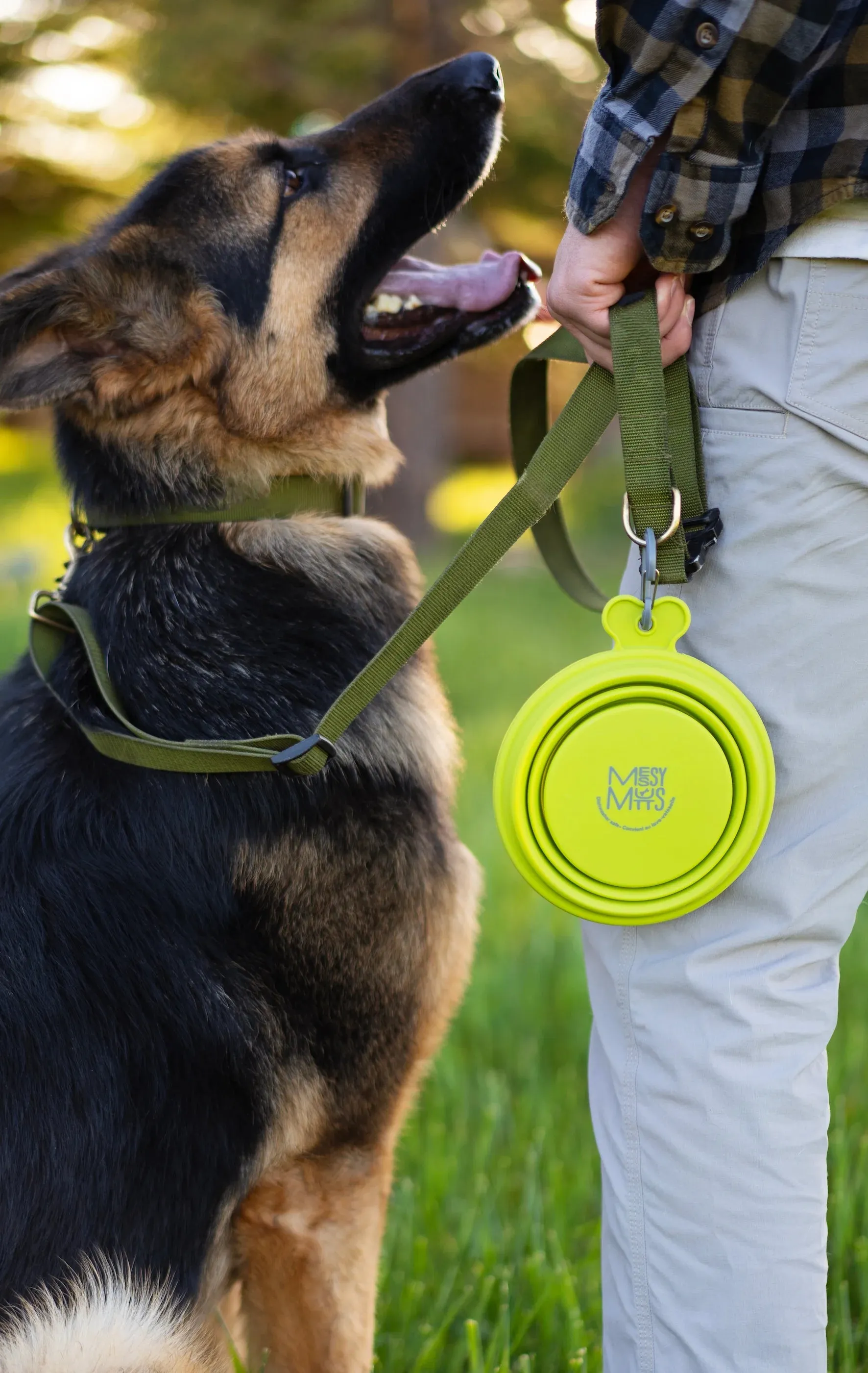 Silicone Collapsible Dog Bowl, Small, 1.75 Cup Bowl